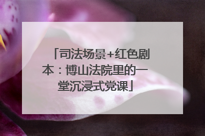 司法场景+红色剧本：博山法院里的一堂沉浸式党课